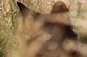 chat 22_07_08 n01